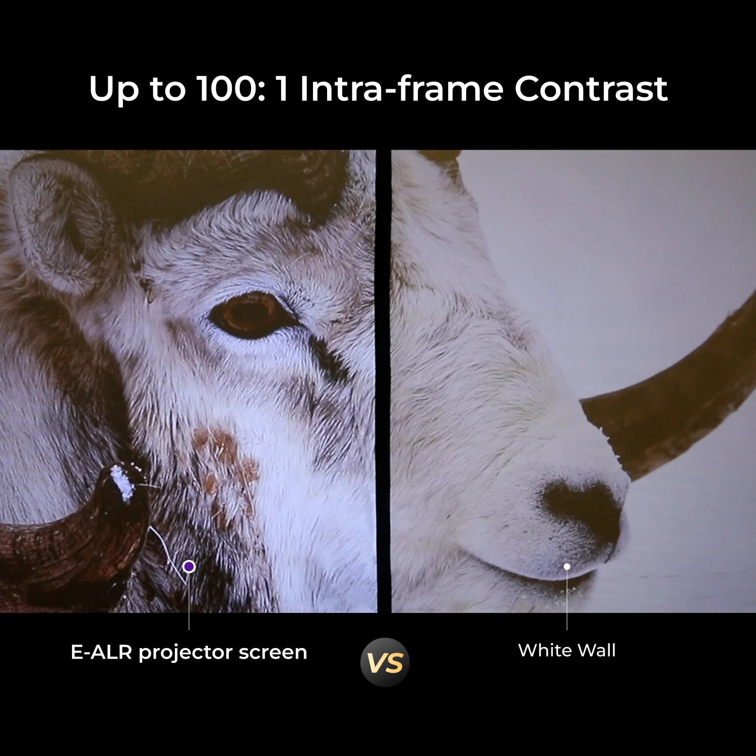 ULTIMEA E-ALR Projector Screen with Stand