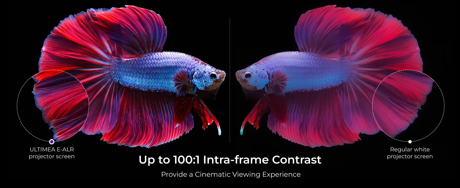 ULTIMEA E-ALR Projector Screen with Stand