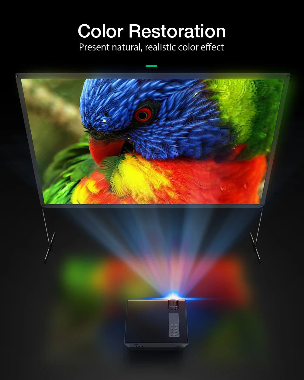 BlitzWolf BW-VS6 80/100” HD Projection Screen